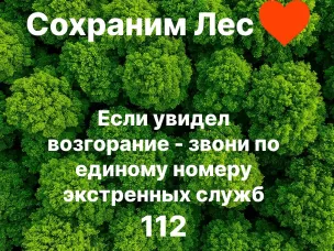 С 30 июня по 6 июля 2026 г. местами по Нижегородской области ожидается высокая (4 класс) пожароопасность лесов и  торфяников